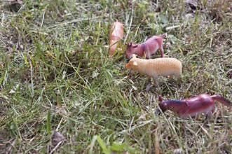 Toy farm animals horse, sheep, goat and pig on a walk in real grass
