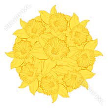 Sun wreath with yellow flowers narcissus drawn by hand for Happy Easter.