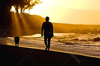 Dog and owner on sunset beach