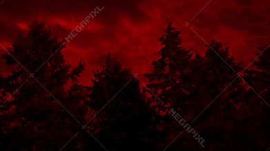 Dark Trees Sway Under Ominous Red Sky