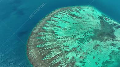 Blue Sea with A huge underwater reef. Aerial View Looking Straight Down. Tropical Barrier Reef Bird\'s Eye View
