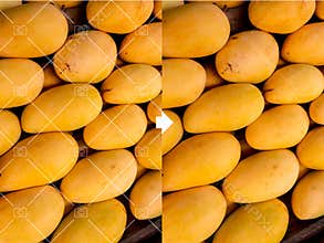 Before and after example of AI copyright or watermark remover tool erasing watermarks from a photo of mangoes
