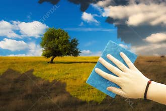 Cleaning for spring