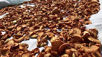 Red dried apples close up. Natural healthy product