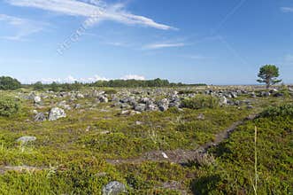 Serene landscape of rocks and moss on one of the Solovetsky Islands