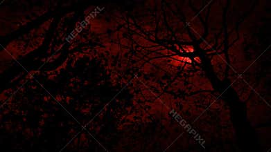 Moving Under Trees With Scary Red Moon Above