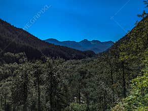 Beautiful scenery of the Preservance Trail