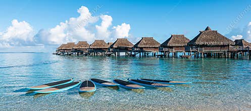 Paddle boards at the beach for enjoyment in Moorea.