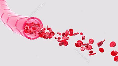3D animation of glass artery or vein with the movement of red blood cells.