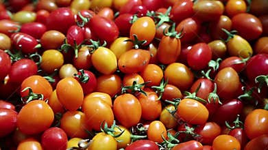 Small red and yellow tomatoes