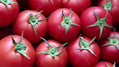 Red tomatoes in market