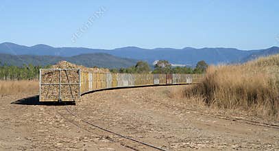 Sugar cane harvesting in Queensland