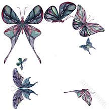 Hand drawn watercolor illustration butterfly fairy wings gem crystal insect moth. Tourmaline pearl labradorite opal