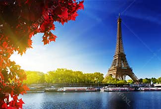 Color of autumn in Paris