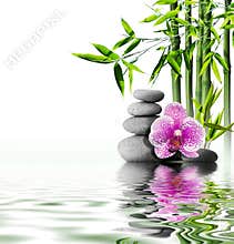 Massage with orchid and bamboo