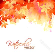 Autumn Vector Watercolor Fall Leaves