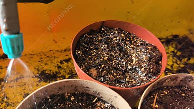 Planting seeds with care in small pots for a bountiful garden