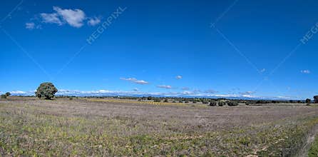Wide view of open field with trees under blue sky in rural area during daytime