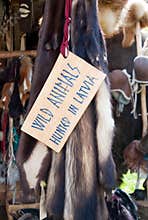 Wild animals fur medieval market