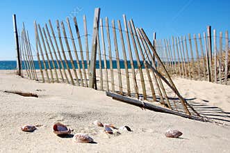 Cape Cod Beach