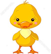 Farm animals. Duck