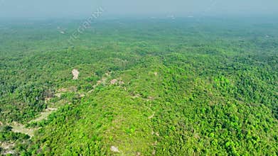 Aerial view of a lush, expansive tropical forest or jungle, showcasing dense green canopy under a bright sky at Bandarbab