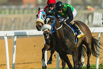 Horse Racing Jockey Action