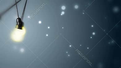 Bulb animation