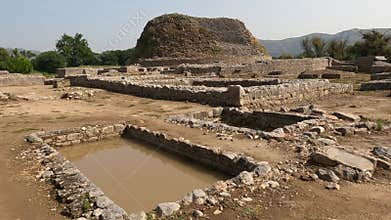 Dharmarajika Stupa pond showing Buddhist serenity