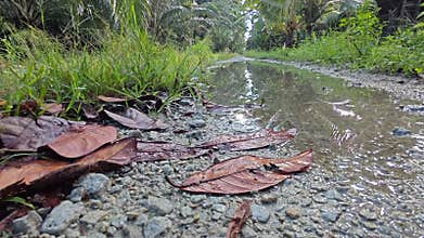 stagnant pool of rainwater along the diminishing perspective rural pathway into the rural countryside