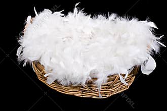 Basket of Feathers