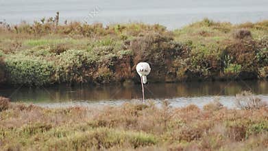 adventure in Doñana
