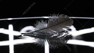 Feather Dances On Water Slow Motion Masterpiece