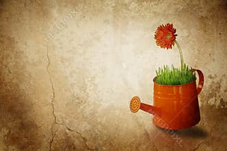 Gardening concept with watering can