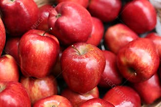 Red Apples