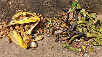 Food waste on road attracting flies
