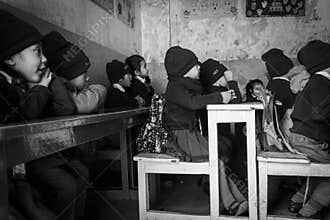 School Students Sitting in the Classroom