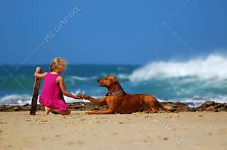 Child dog friendship
