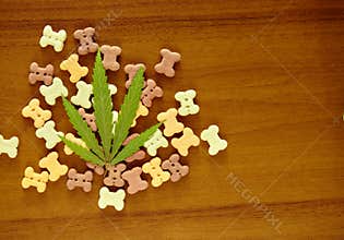 Dog treats close-up and cannabis leaves, CBD and medical marijuana for pets concept. Biscuits for pets with cannabis content CBD