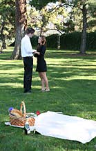 Couple Having Picnic