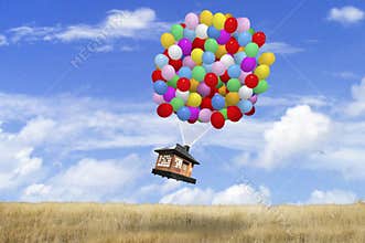House being carried by balloons