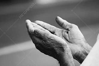 Prayer Hands