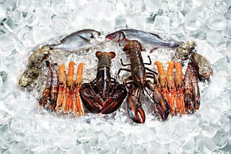 Seafood on ice