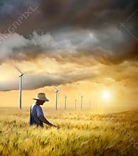 Farmer checking his crop of wheat