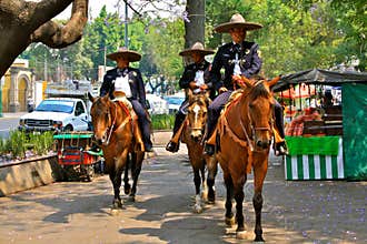 Mounted Police in Mexico City