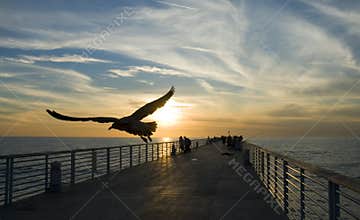 In Flight