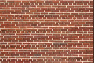 Bricks in Wall