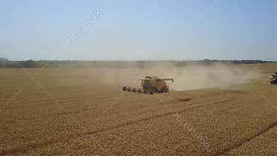 Harvesting of wheat in summer. Two yellow harvesters working in the field. Combine harvester agricultural machine