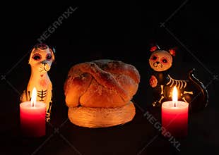 Halloween dead dog cat katrina pan muerto candles velas white red darkness