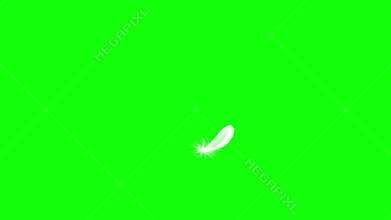Flying Feather. Green Screen. Seamless Looping.